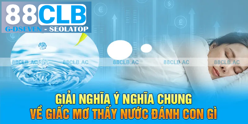 Giải nghĩa ý nghĩa chung về giấc mơ thấy nước đánh con gì