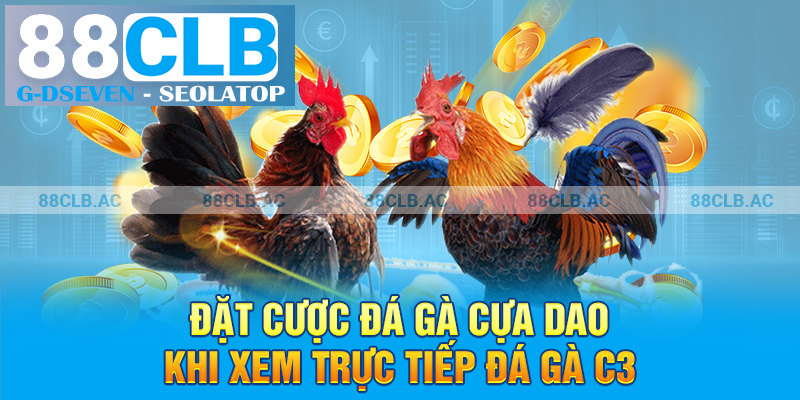 Đặt cược đá gà cựa dao khi xem trực tiếp đá gà C3