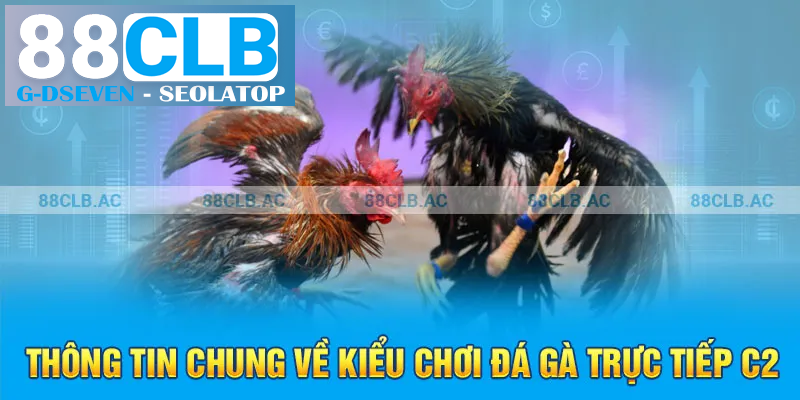 Thông tin chung về kiểu chơi đá gà trực tiếp C2