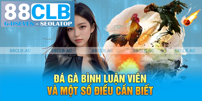 Đá gà bình luận viên và một số điều cần biết