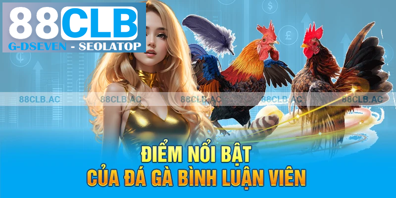 Điểm nổi bật của đá gà bình luận viên