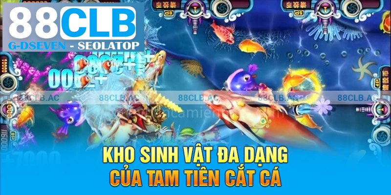 Kho sinh vật đa dạng của Tam tiên cắt cá