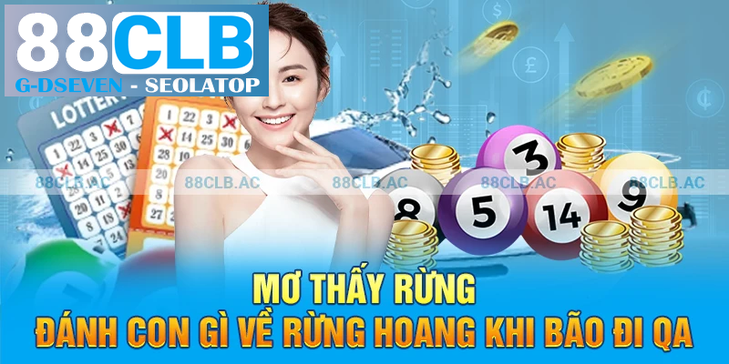 Mơ thấy rừng đánh con gì về rừng hoang khi bão đi qua